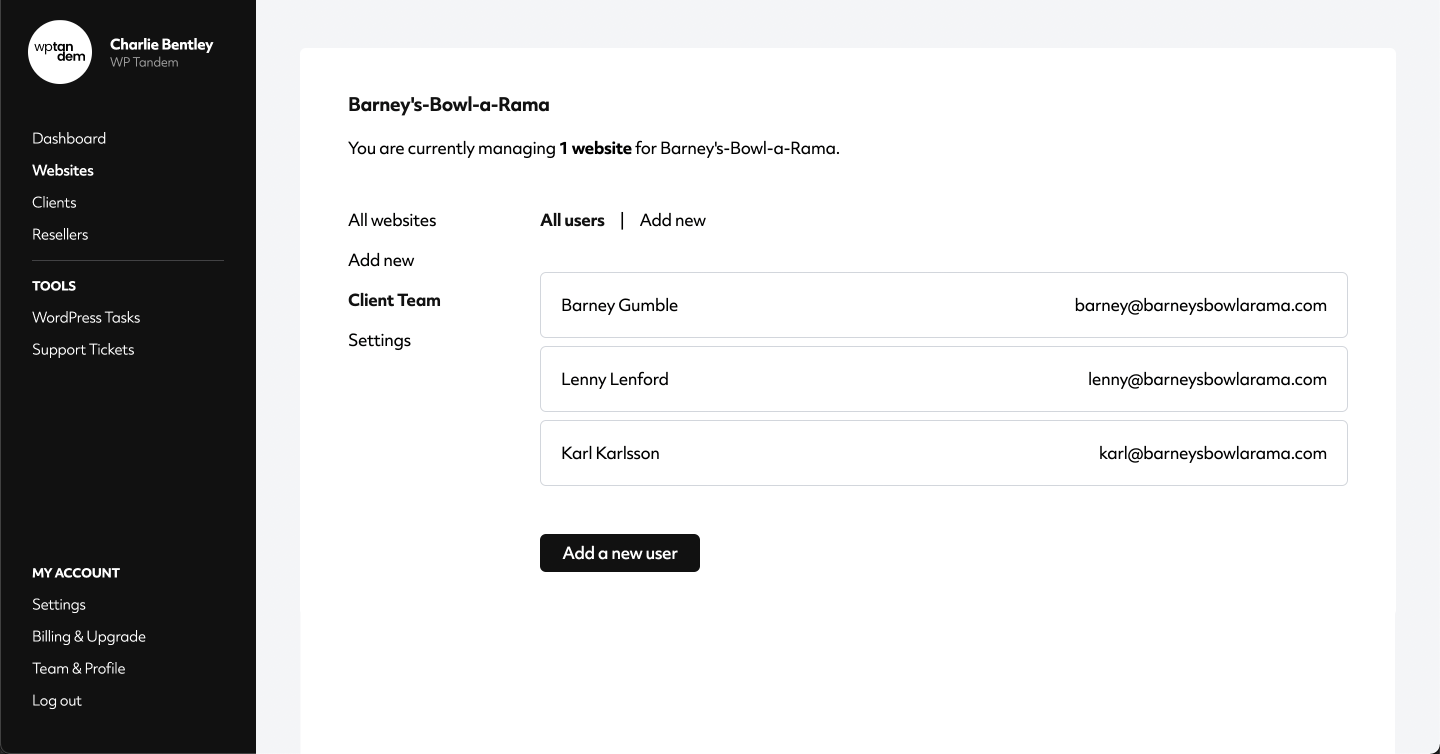 screenshot of a wordpress management dashboard showing a list of client team members